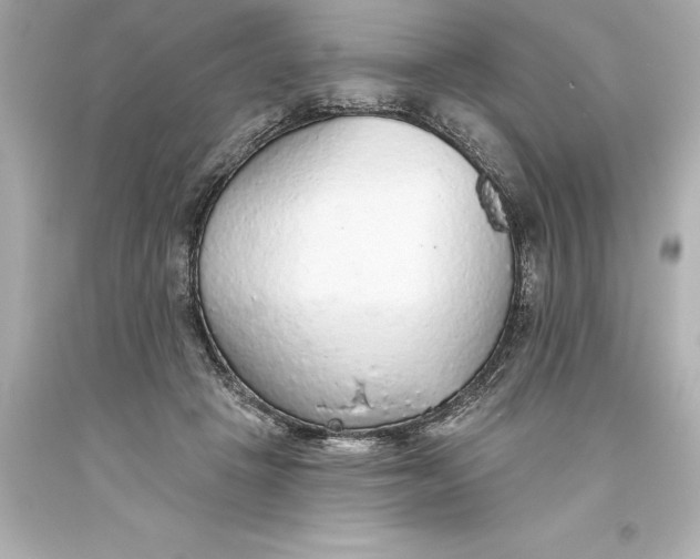 X0000093620457200710291229