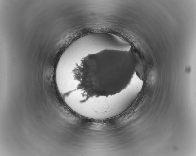X0000093620458200710291229