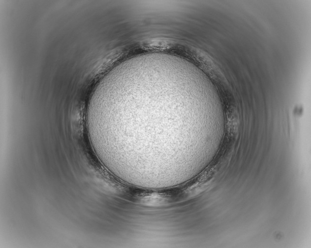 X0000093620460200710291229