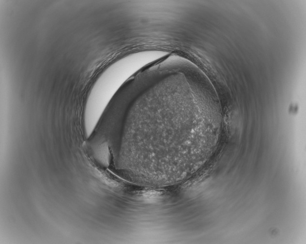 X0000093620462200710291229