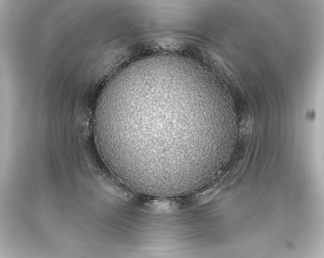 X0000093620464200710291229