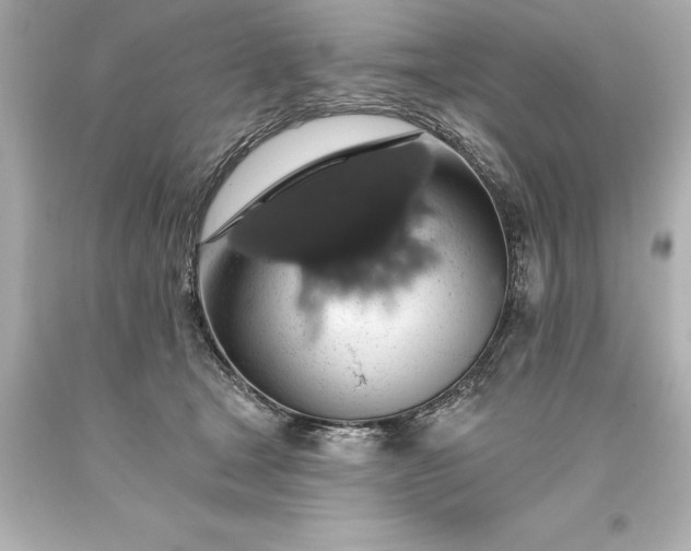 X0000093620465200710291229