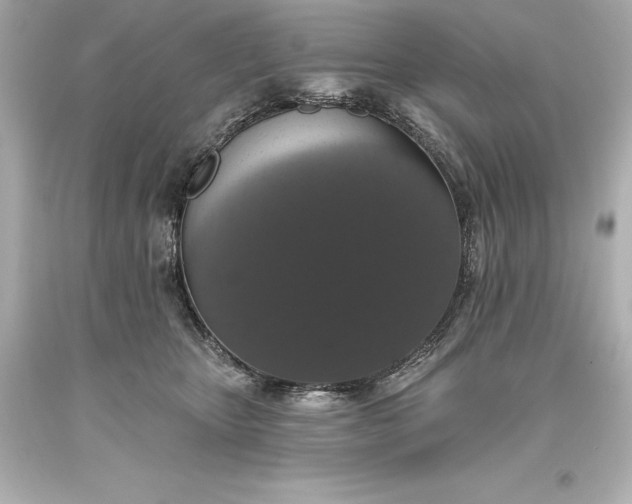 X0000093620467200710291230