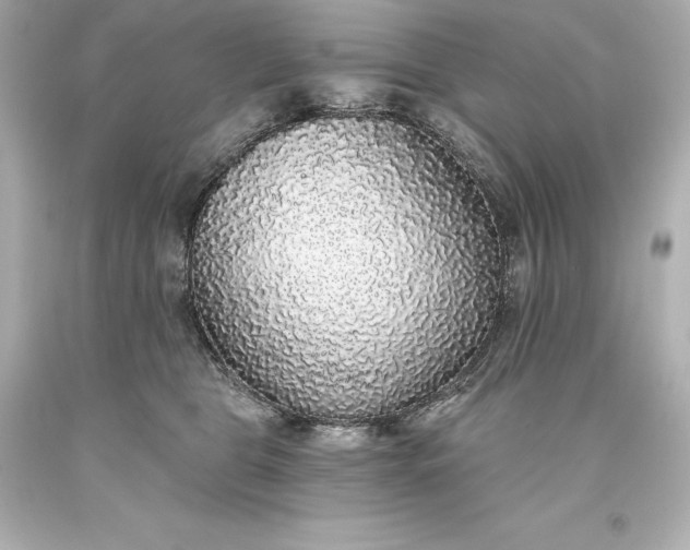 X0000093620469200710291230