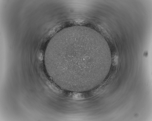 X0000093620472200710291230