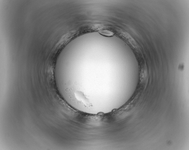 X0000093620473200710291230