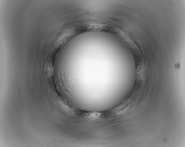 X0000093620474200710291230