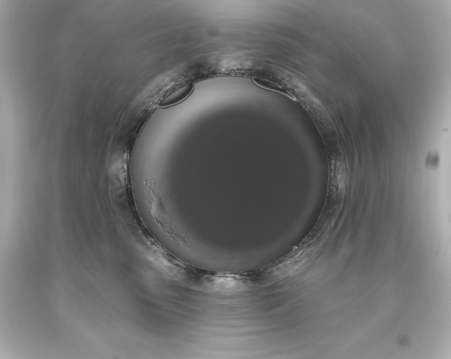 X0000093620475200710291230