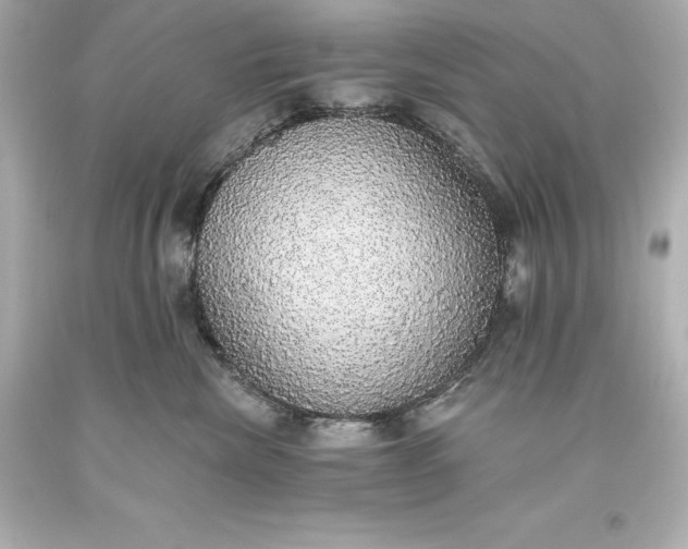 X0000093620476200710291230
