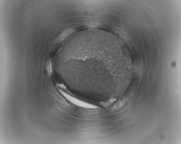 X0000093620479200710291230