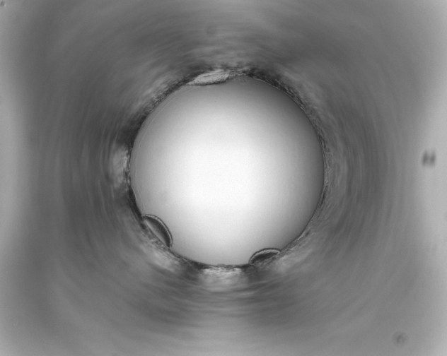 X0000093620480200710291230