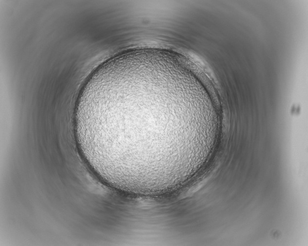 X0000093620481200710291229