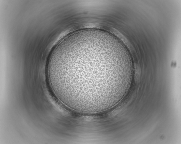 X0000093620482200710291229