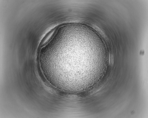 X0000093620483200710291229