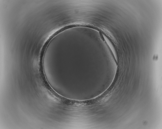 X0000093620484200710291229