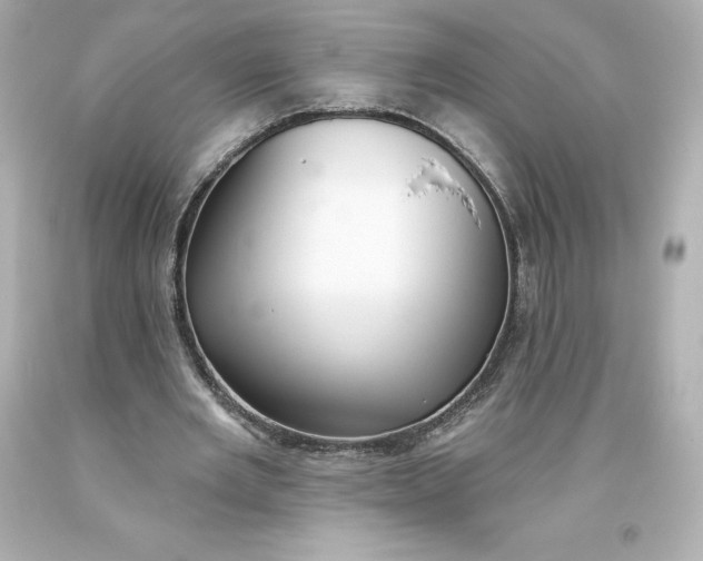 X0000093620485200710291229