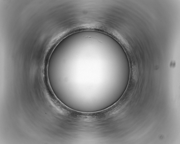 X0000093620486200710291229
