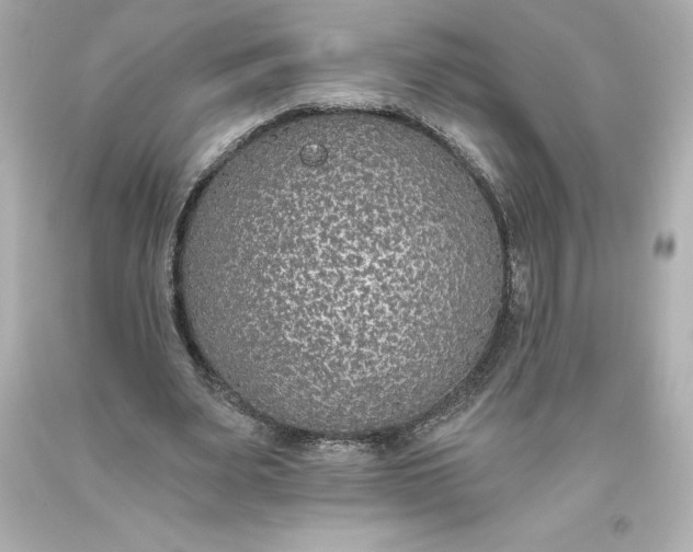 X0000093620487200710291229