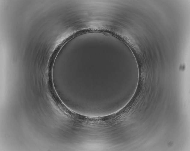 X0000093620488200710291229