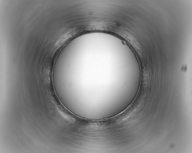 X0000093620489200710291229