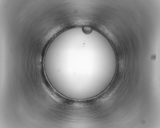 X0000093620490200710291229