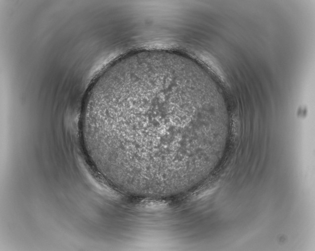 X0000093620491200710291229