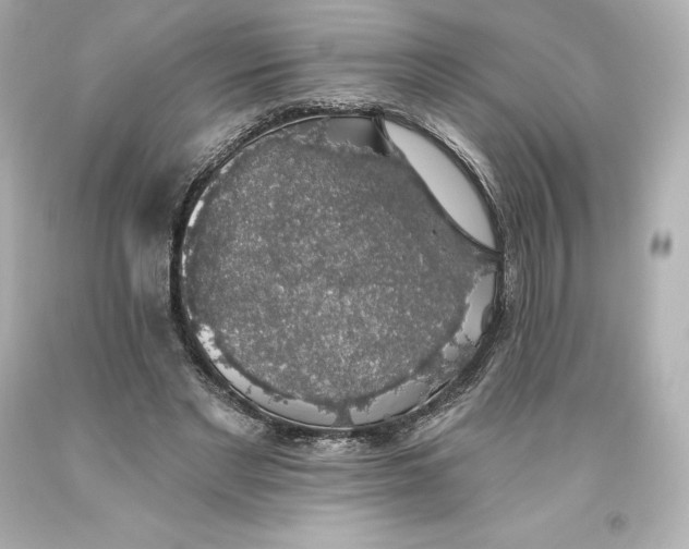 X0000093620493200710291229