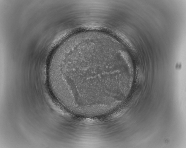 X0000093620494200710291229