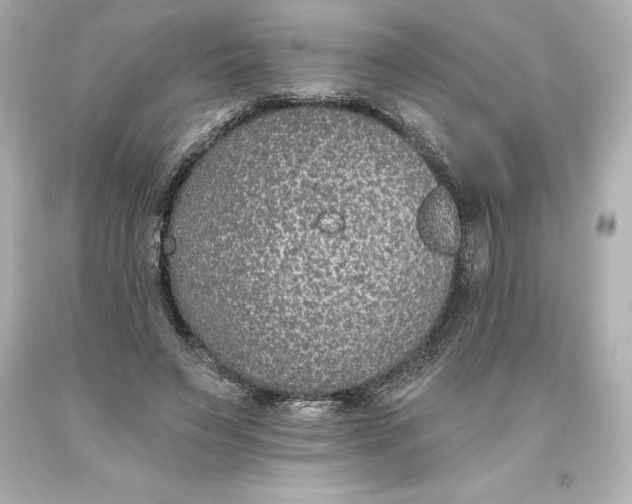 X0000093620495200710291229