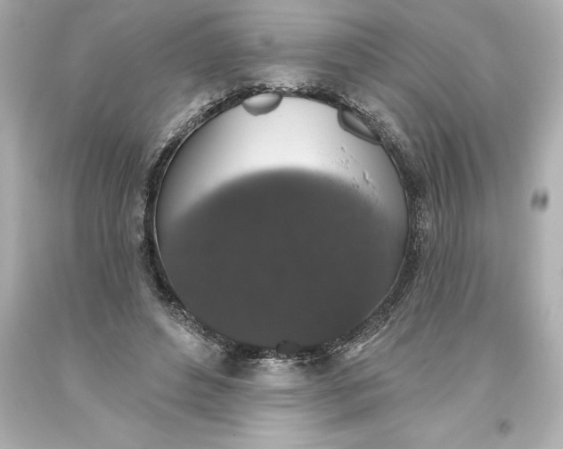 X0000093620496200710291229