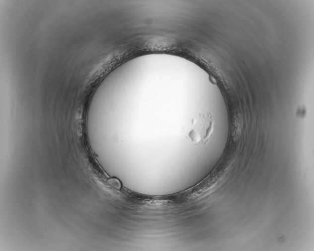 X0000093620497200710291229