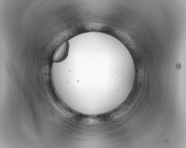 X0000093620498200710291229
