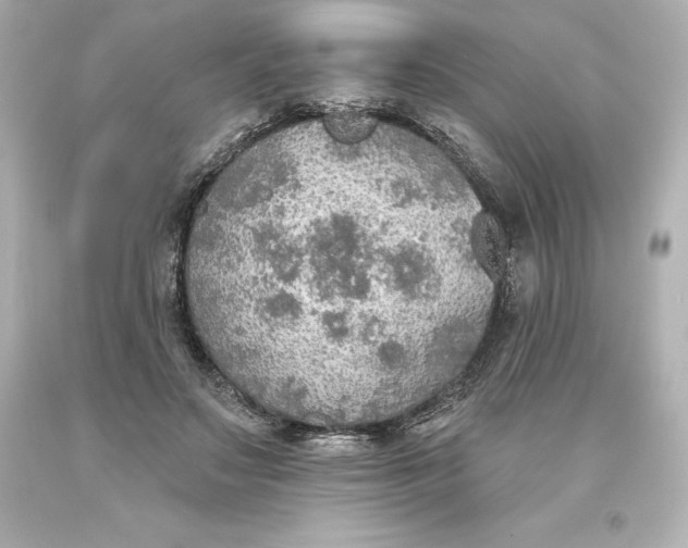 X0000093620499200710291229