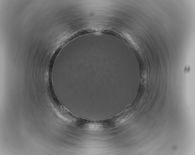 X0000093620500200710291229