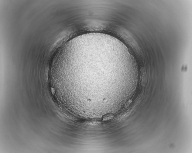X0000093620501200710291229