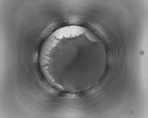 X0000093620502200710291229