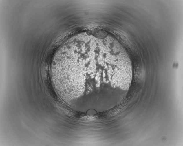 X0000093620503200710291229