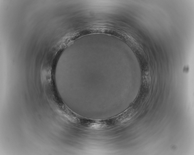 X0000093620504200710291229