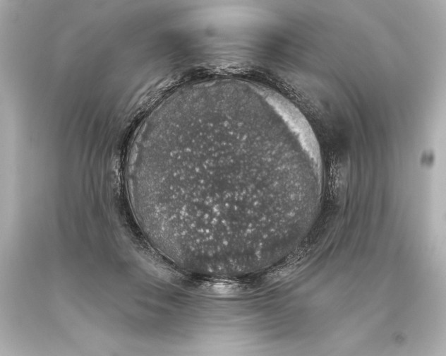 X0000093620506200710291229