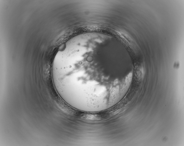 X0000093620507200710291229