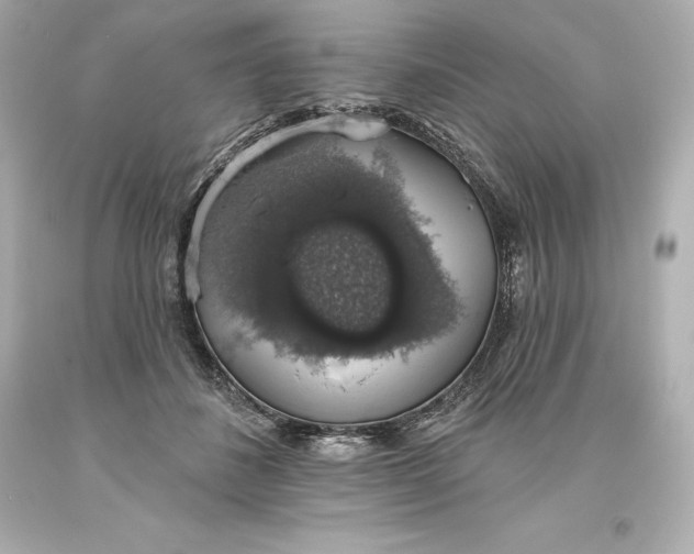 X0000093620508200710291229