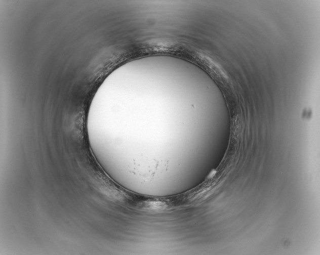 X0000093620509200710291229