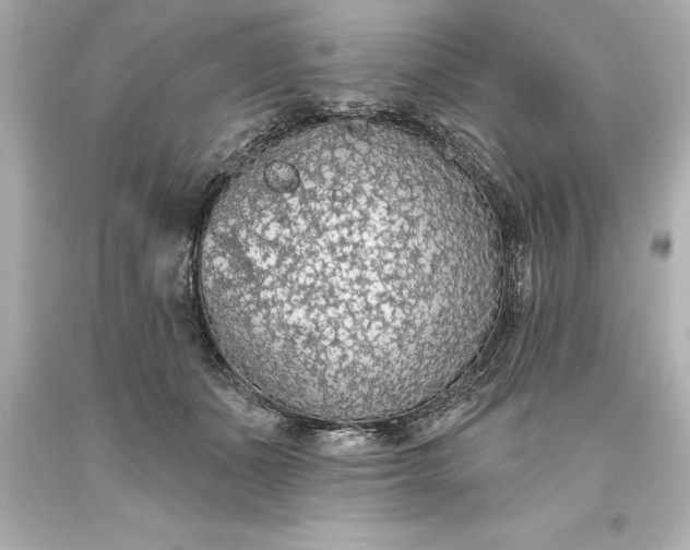 X0000093620511200710291229