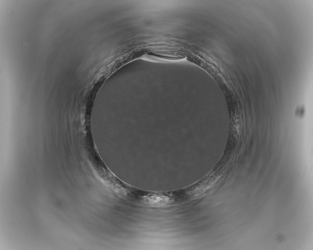 X0000093620512200710291229