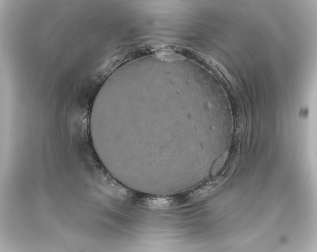 X0000093620513200710291229
