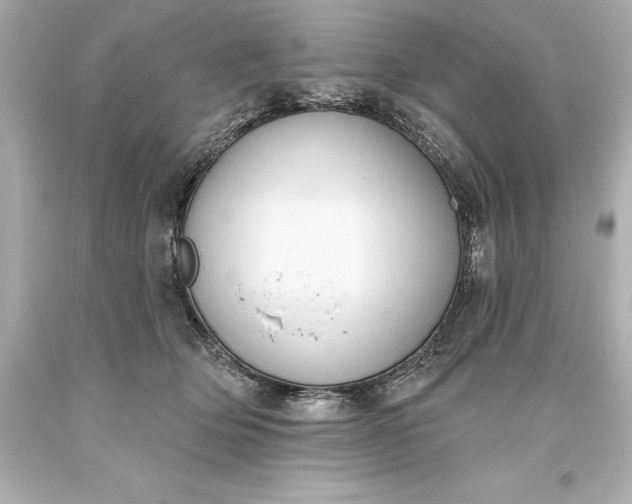 X0000093620514200710291229