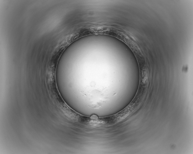 X0000093620515200710291229