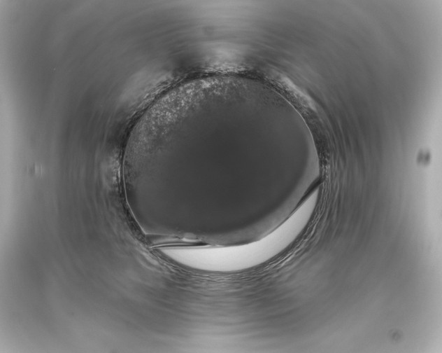 X0000093620517200710291229