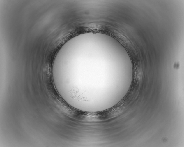 X0000093620518200710291229
