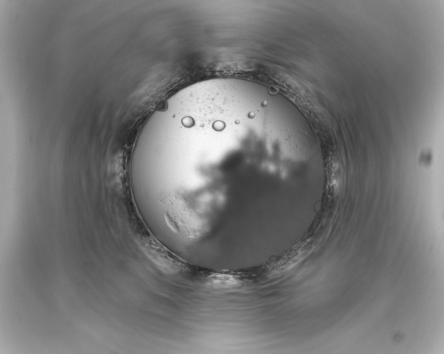 X0000093620519200710291229